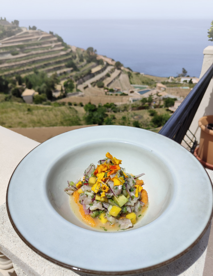 Restaurant in Banyalbufar with Views Dish served on the terrace of Sa Baronia, with sea and mountain views.
